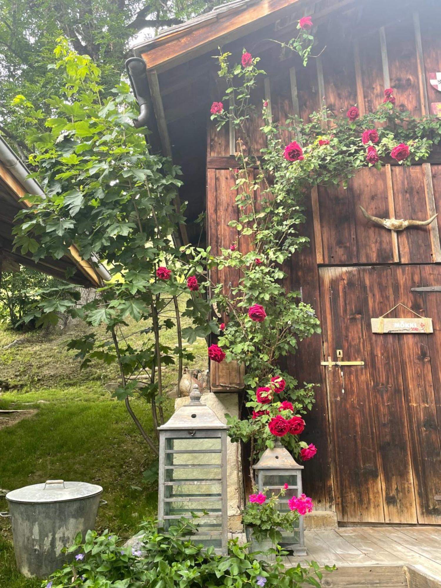 Le Pika Bed & Breakfast Hauteluce Bagian luar foto